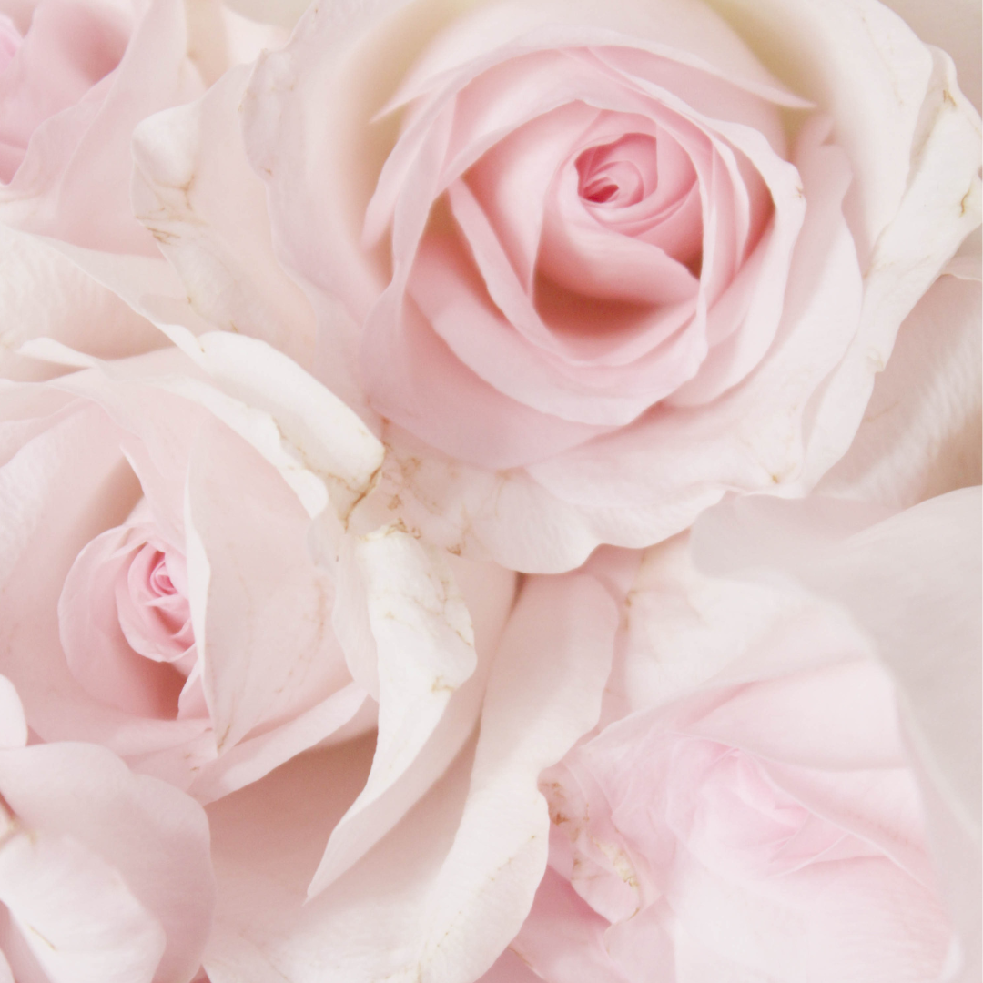 HEIMISH Bulgarian Rose Satin Cream (Antiedad + Hidratación)