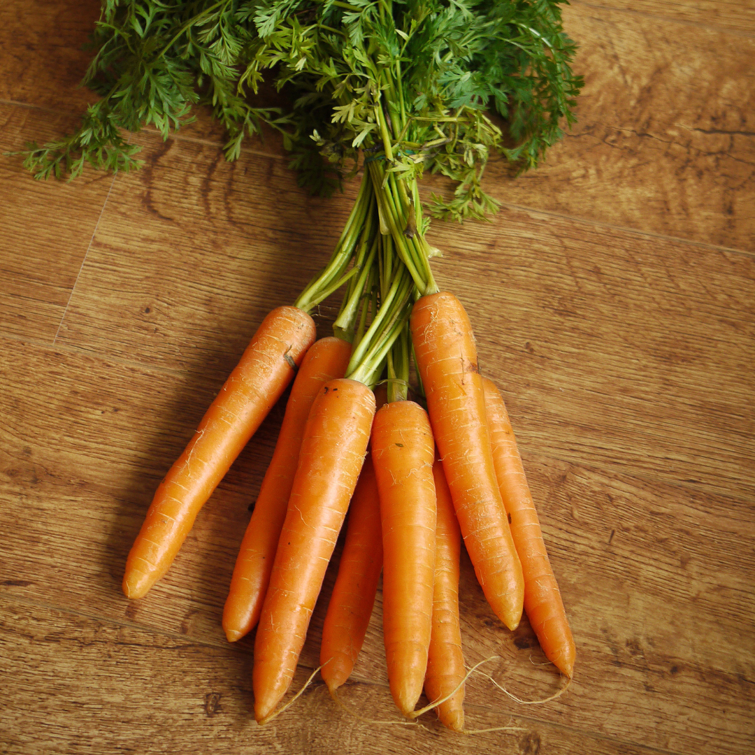 SKINFOOD Carrot Carotene Calming Water Pad + Refill (Calma Rojeces + Mejora Barrera Cutánea)